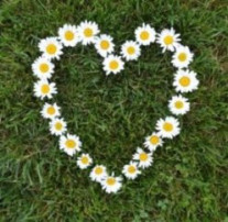 СЕМЕЙНЫЙ РОМАШКОВЫЙ ФОТО-ФЛЕШМОБ🌼 СЕМЕЙНЫЙ РОМАШКОВЫЙ ФОТО-ФЛЕШМОБ🌼.