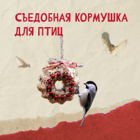 Кормушки для птиц. Кормушки для птиц.