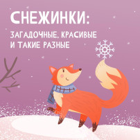 О снежинках О снежинках.