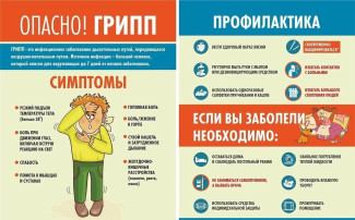 Профилактика ОРВИ и гриппа. Профилактика ОРВИ и гриппа.