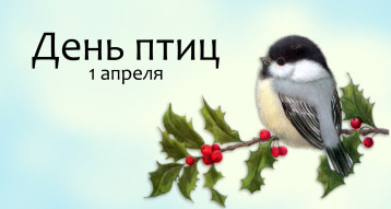 Экологический праздник "Международный день птиц" в старшей и подготовительной группе Экологический праздник "Международный день птиц" в старшей и подготовительной группе.