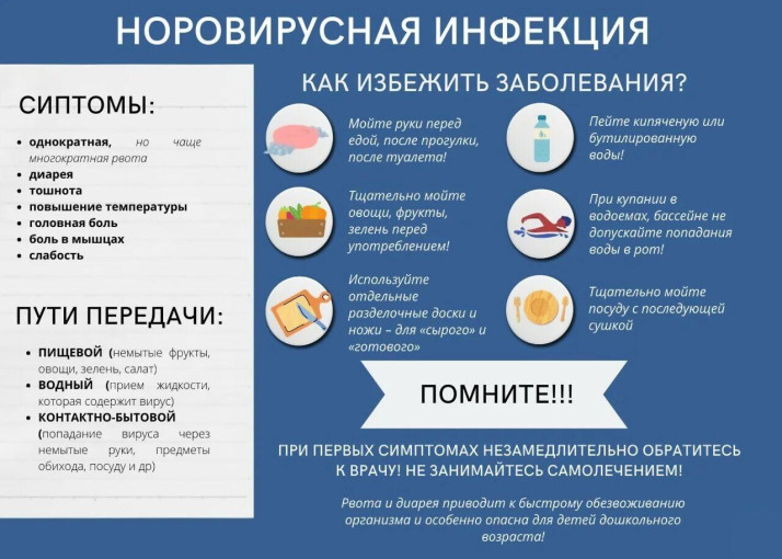 Норовирусная инфекция. Норовирусная инфекция.